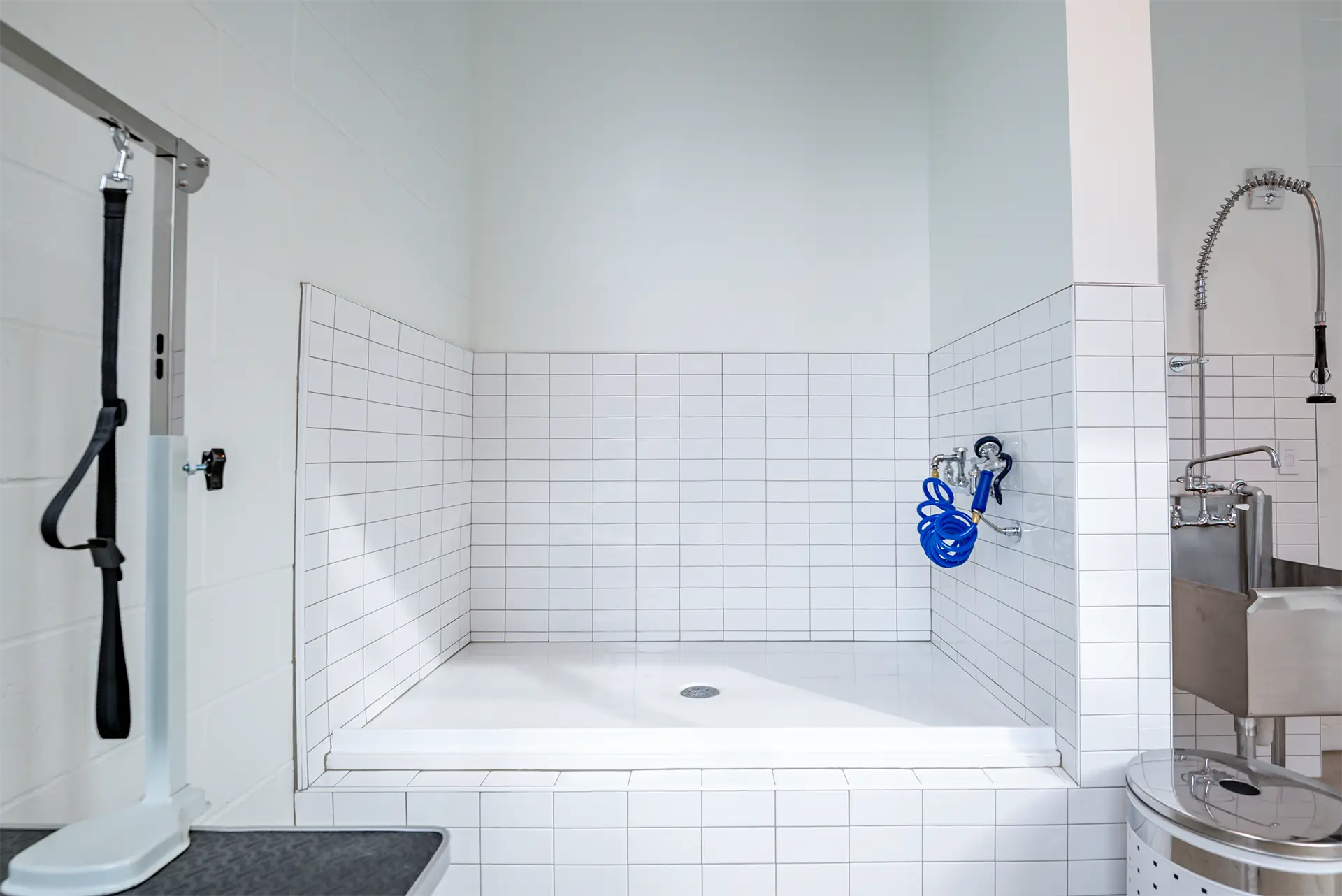 Interior view of a pet washing station with a tiled wash area, handheld spray hose, and raised platform.